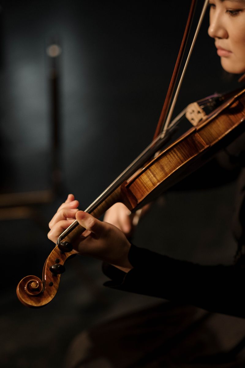 Violinist performing